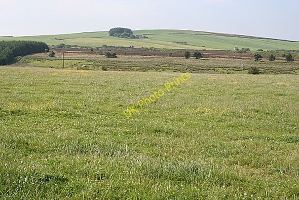 Photo 6"x4" Near Cowieshall Craigmaud c2009