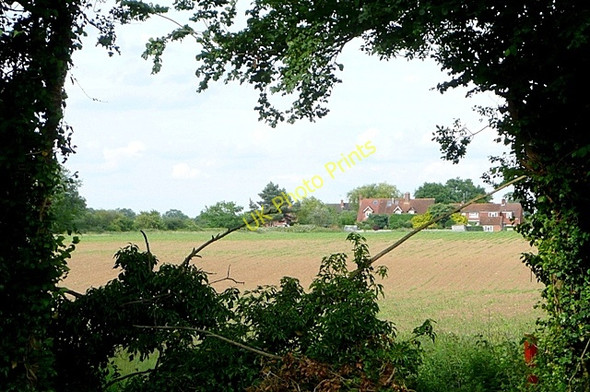 Photo 6"x4" Whitehouse Green Whitehouse Green c2009