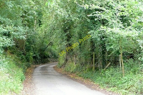 Photo 6"x4" Lane from Trash Green Burghfield c2009