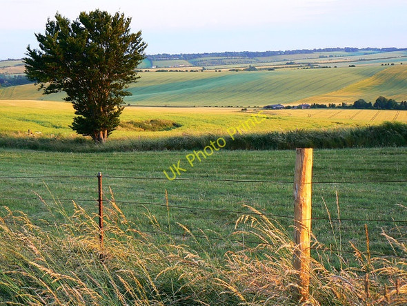 Photo 6"x4" Gallop and farmland west of Baydon Baydon c2009