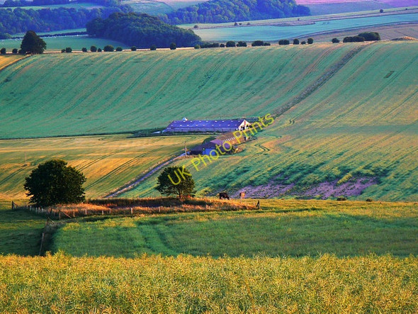 Photo 6"x4" Farmland, pond and oilseed west of Baydon Baydon c2009