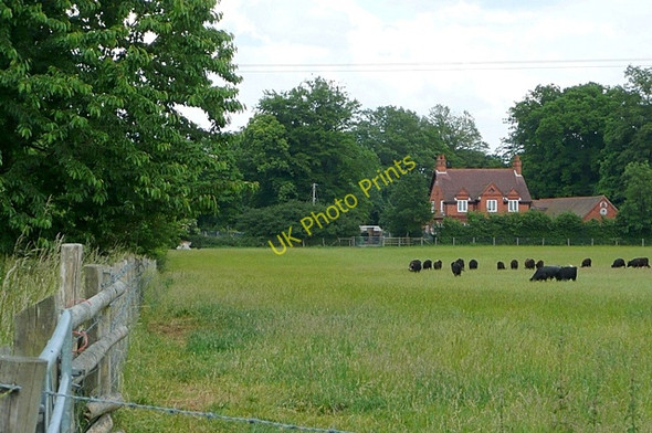 Photo 6"x4" From Beech Farm Cold Harbour\/SU6379 c2009