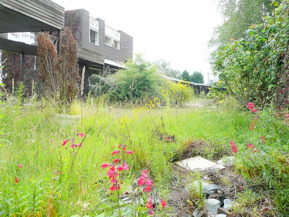 Photo 6"x4" The continuing decline of Saxon Cross Hotel 3 Sandbach c2009