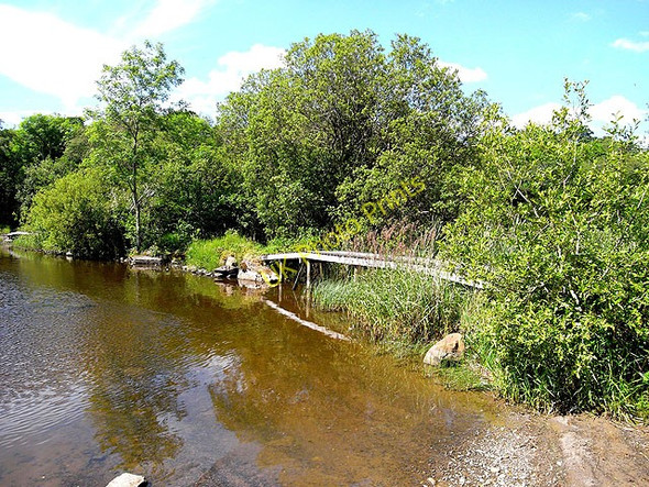 Photo 6"x4" Footbridge, Lusty Beg Island Pettigoe c2009