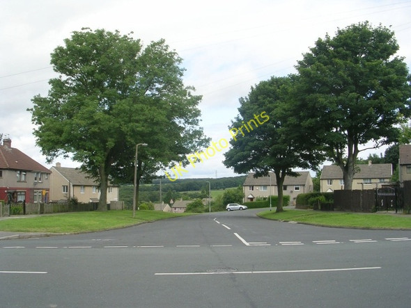 Photo 6"x4" Blackstone Avenue - Whitehall Avenue Wyke\/SE1526 c2009 P1