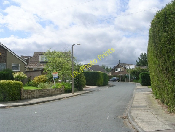Photo 6"x4" Silver Birch Grove - Silver Birch Drive Wyke\/SE1526 c2009