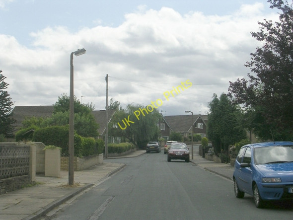 Photo 6"x4" Silver Birch Avenue - Wyke Lane Wyke\/SE1526 c2009
