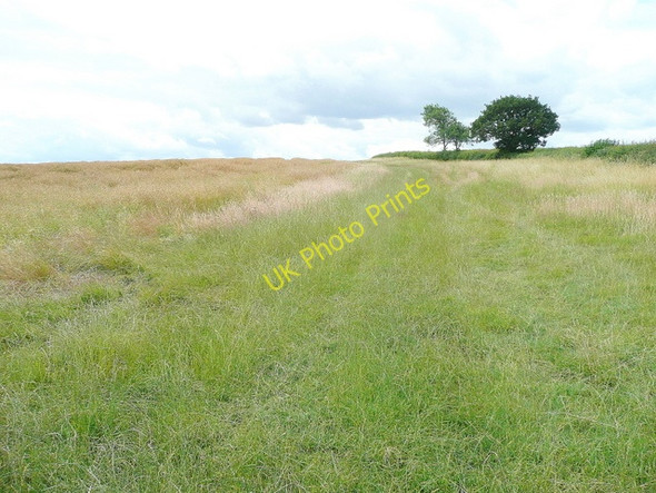 Photo 6"x4" Town Hill, Warborough Warborough c2009