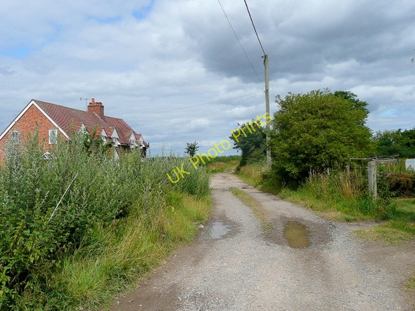 Photo 6"x4" Hammer Lane, Warborough 1 Warborough c2009