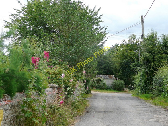 Photo 6"x4" Hammer Lane, Warborough 2 Warborough c2009