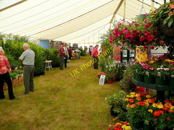 Photo 6"x4" Woking Nursery Exhibition, 2009 1 Fairlands\/SU9652 c2009