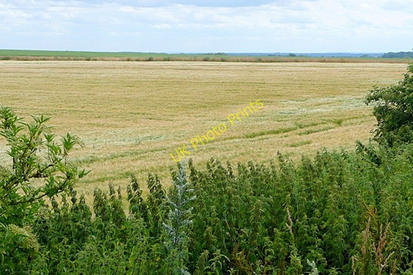 Photo 6"x4" Crop at Cheseridge Farm Bothampstead c2009