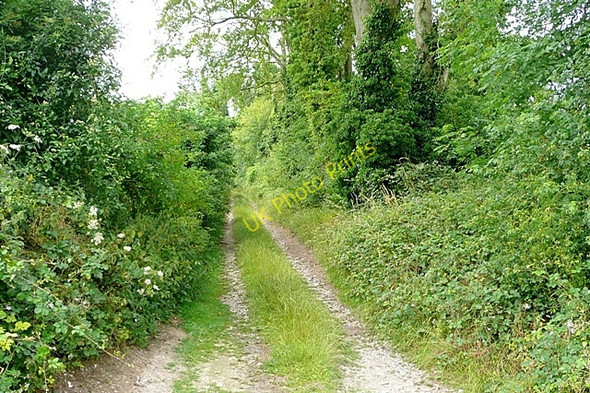 Photo 6"x4" Warnham Lane Beedon c2009