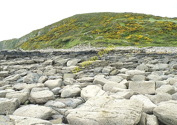 Photo 6"x4" The slope of Barcloy Hill Rockcliffe\/NX8453 c2009
