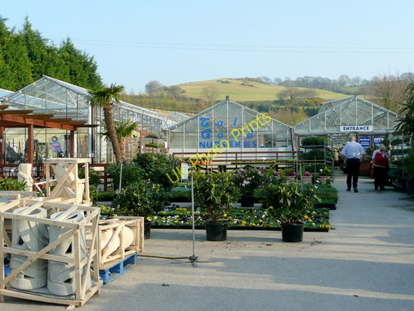 Photo 6"x4" Tal Goed Nurseries Graig\/SH8074 c2009
