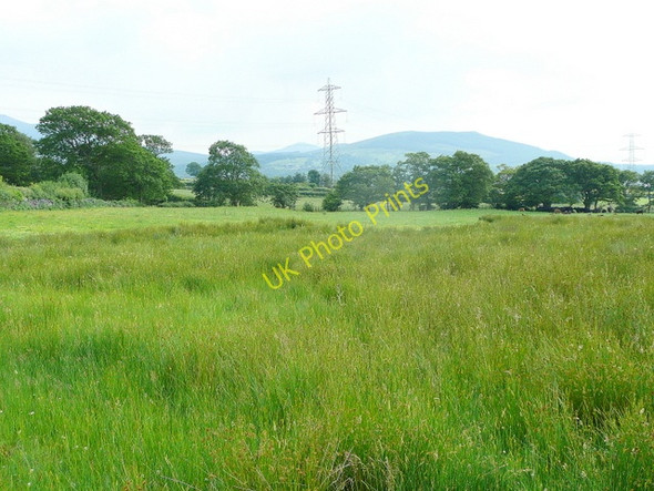 Photo 6"x4" Rough pasture near Plas-uchaf Llanllechid c2009