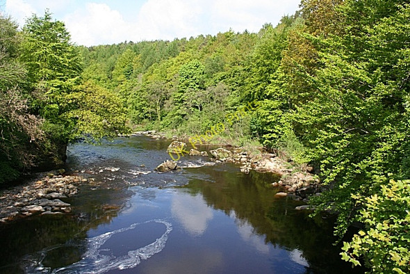 Photo 6"x4" Liddell Water Warwicksland c2009