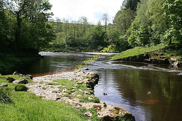 Photo 6"x4" Liddell Water Warwicksland c2009