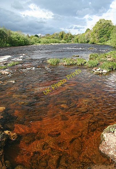 Photo 6"x4" River Esk Canonbie c2009