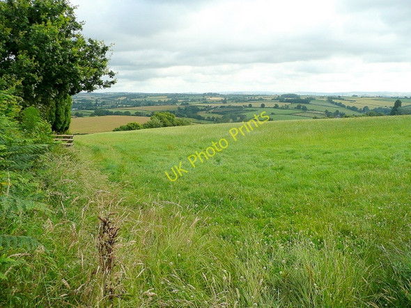 Photo 6"x4" Grassland east of Llangrove Llangrove c2009