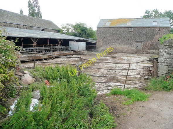 Photo 6"x4" Upper Trewen Llangrove c2009