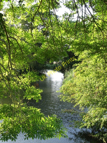 Photo 6"x4" Longford Stream Rose Hill\/TQ4516 c2009