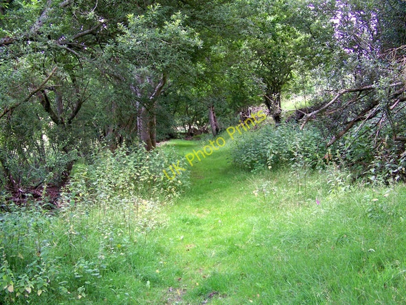 Photo 6"x4" Bridleway near Pinn Sidmouth c2009
