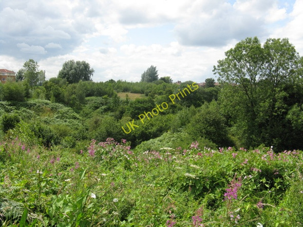 Photo 6"x4" Verdant Country Near Droylsden Droylsden c2009