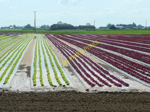 Photo 6"x4" Red and green Sutton Corner c2009