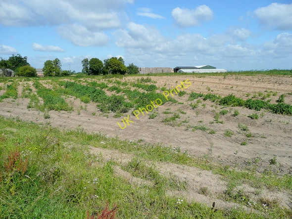 Photo 6"x4" White House Farm, Gedney Dyke Gedney Dyke c2009