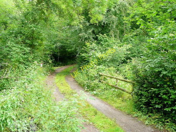 Photo 6"x4" Track to Mill Farm Buckholt c2009