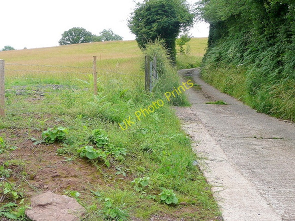 Photo 6"x4" Track to Broom Farm Welsh Newton c2009