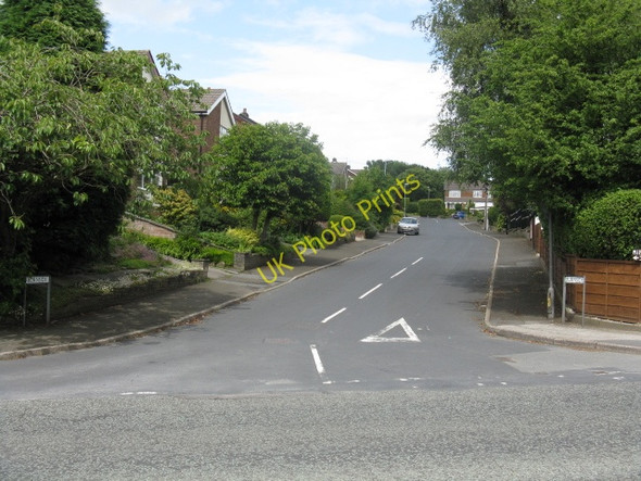 Photo 6"x4" Burnside - A Quiet Road Near Mottram Rise Stalybridge c2009