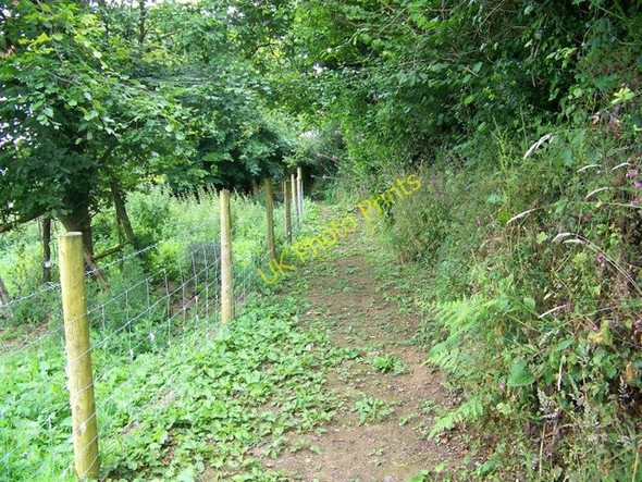 Photo 6"x4" Permissive path, Bridford Bridford c2009