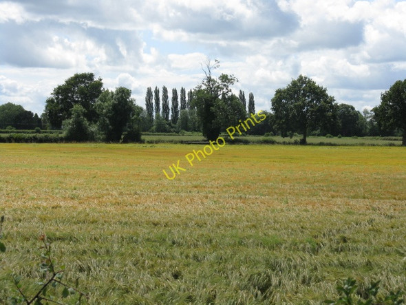 Photo 6"x4" Lugg Fields Near The Broad Leominster c2009