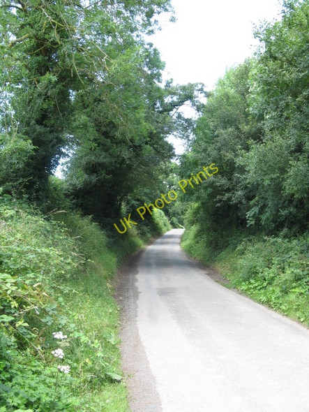 Photo 6"x4" Eyton Lane Leominster c2009 P1