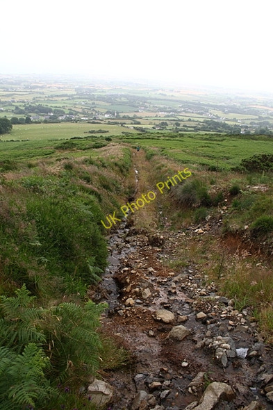 Photo 6"x4" Rough Track Carlingford c2009
