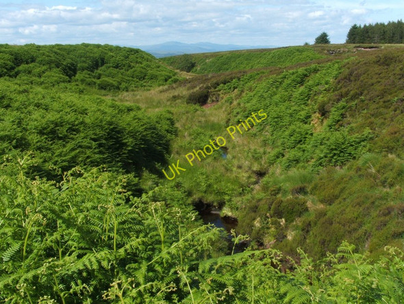 Photo 6"x4" View along valley of Knockupple Burn Gallangad Burn\/NS4580 c2009