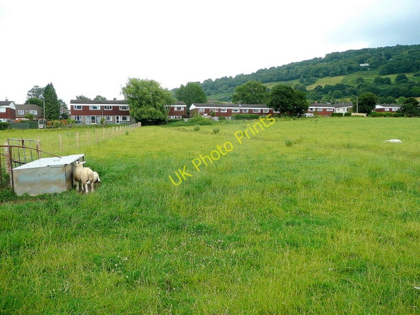 Photo 6"x4" Pasture and housing north of the A466 Monmouth\/Trefynwy c2009