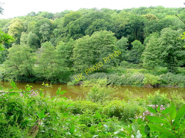 Photo 6"x4" View across the Wye Tre-gagle c2009