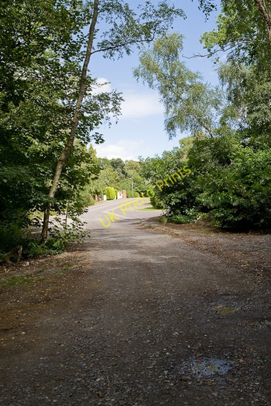 Photo 6"x4" Track at end of Pinewood Park Hightown\/SU4711 c2009