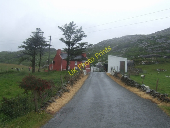 Photo 6"x4" Farm on the Cod's Head Allihies c2009