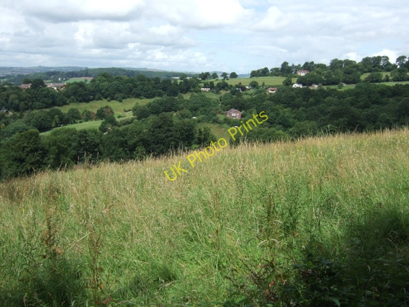 Photo 6"x4" Duryard Valley Nature Reserve, Exeter Exeter c2009