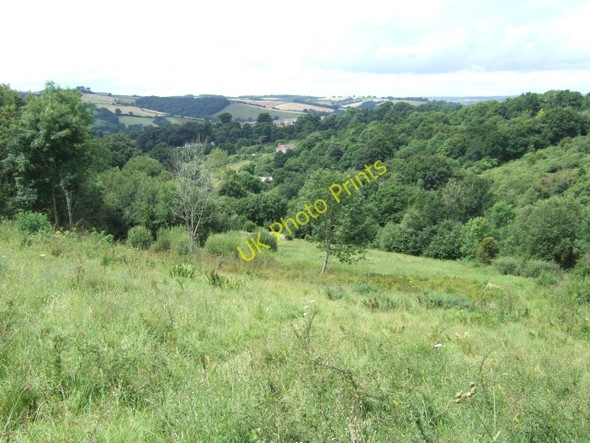 Photo 6"x4" Duryard Valley Nature Reserve, Exeter Exeter c2009