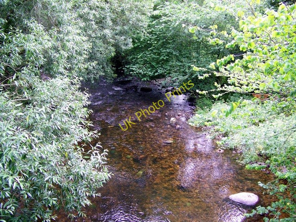 Photo 6"x4" River Teign Butts\/SX8089 c2009