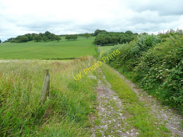 Photo 6"x4" Track into fields Welsh Newton Common c2009