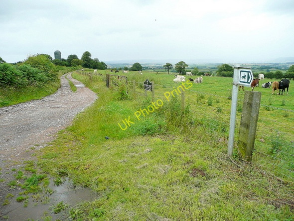 Photo 6"x4" Private farm track Callow Hill\/SO5116 c2009