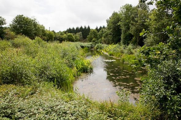 Photo 6"x4" Pond beside M27 near Moorlands Farm Hatch Bottom c2009