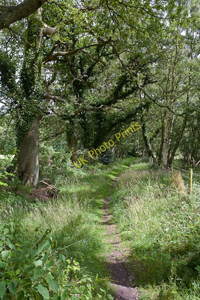 Photo 6"x4" Footpath running to B3342 Hatch Bottom c2009 P1