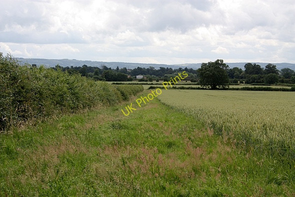 Photo 6"x4" Footpath to New Farm Cottages Chaceley c2009